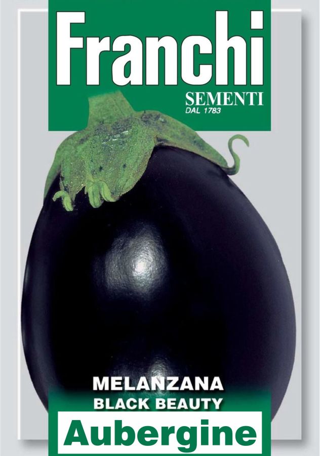 Auberginen Samen Black Beauty, Samen, Solanum melongena