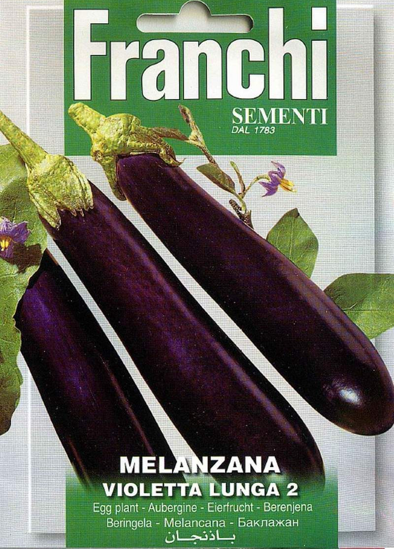 Auberginen Samen Violetta Lunga di Napoli 3 Solanum