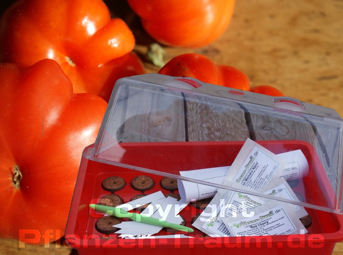 Geschenk Anzuchtset Tomatensamen Fleischtomaten
