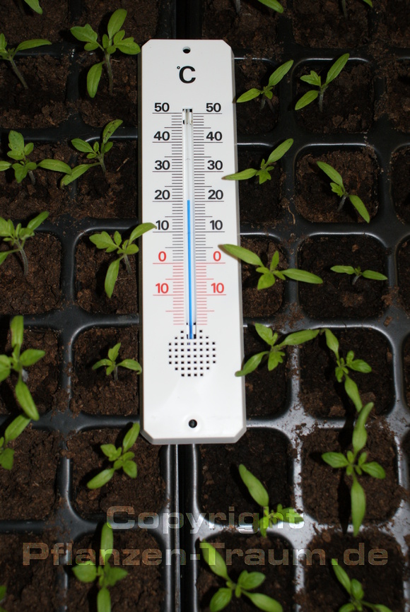 Thermometer Gärtner drinnen und draussen von FTA