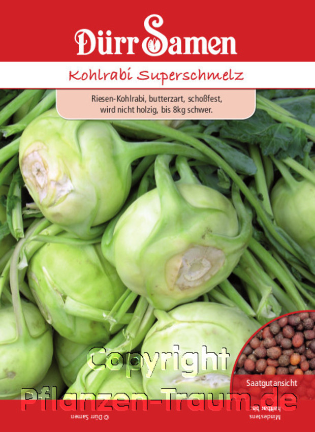 Kohlrabi Superschmelz, Brassica oleracea, Samen Dürr