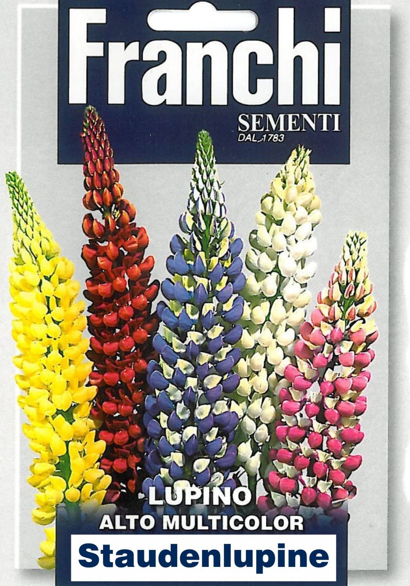 Lupine Staudenlupine Alto Multicolor, hohe Mischung, Franchi Sementi