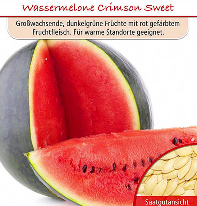 Wassermelone Crimson Sweet, Cucurbita