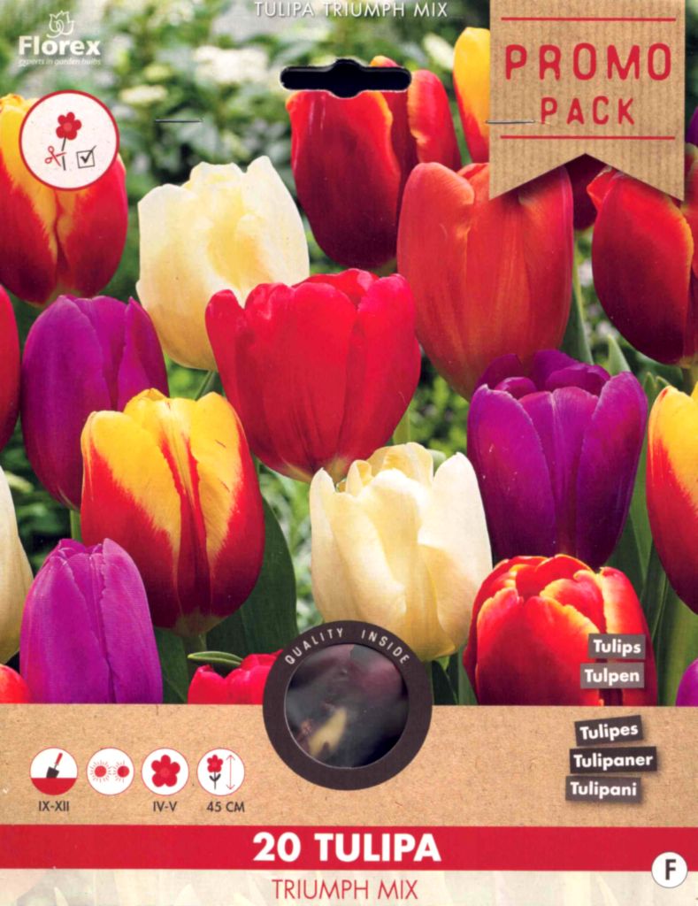 Vorteilspackung: 20× Tulpen Triumph - Gemischte Tulpen Blumenzwiebeln