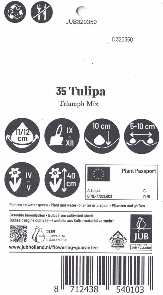 35 Triumph Tulpen, Blumenzwiebel, Mischung, Grösse 11/12