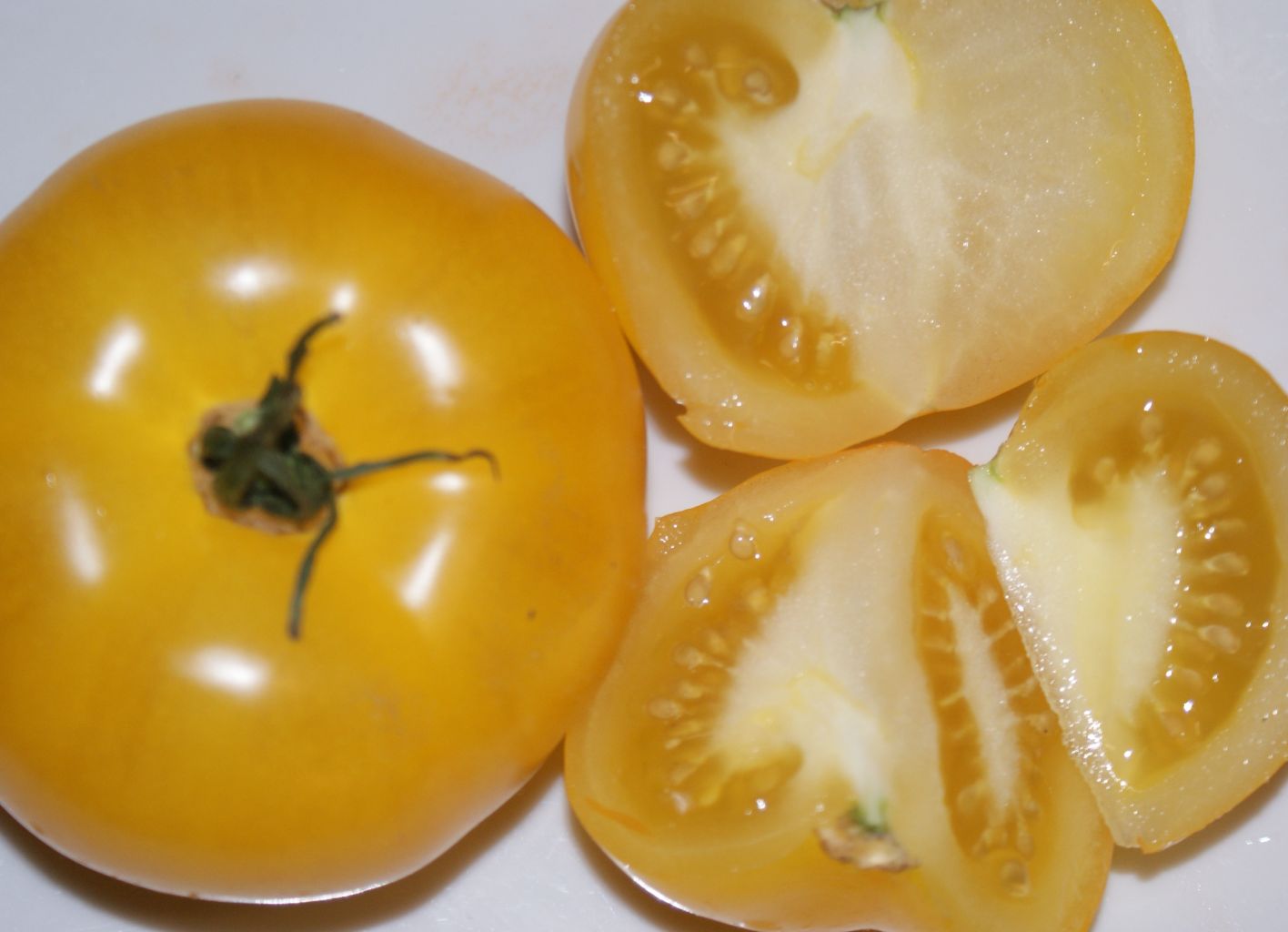 Tomate, Fleischtomate Brandywine Yellow Jungpflanze