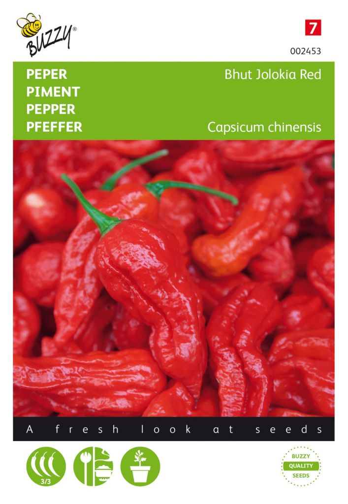 Bhut Jolokia Rot Chili Samen – Capsicum chinense, extrem scharf