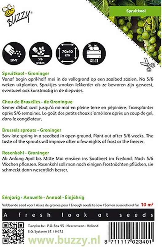 Groninger Rosenkohl, Brassica oleracea, klassische Sorte, Buzzy Samen, Sameninfo