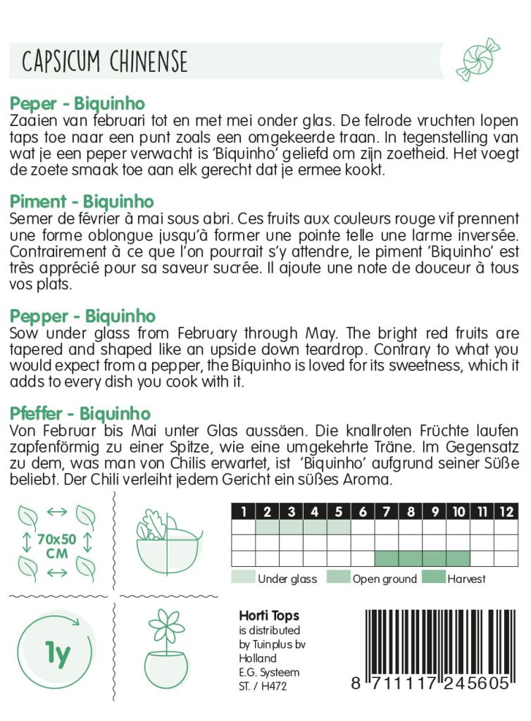 Chili Biquinho Samen – Mild-fruchtige Chili mit tropischem Aroma,  Capsicum chinense