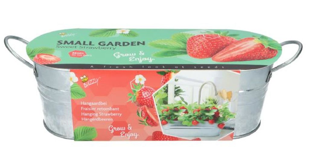Erdbeer Garten – Samen Anzucht Set mit Erdbeeren-Samen, Zinkwanne, Kompost & Anleitung