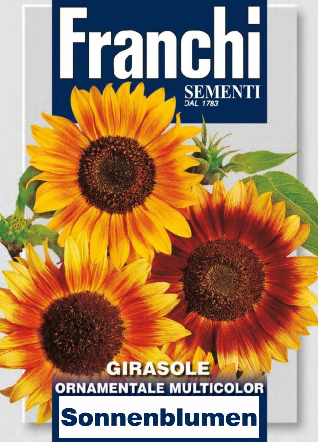 Sonnenblummen, hohe bunte, Samen, Girasole Ornamente Multicolor, feinste italienische Samen von Franchi Sementi.