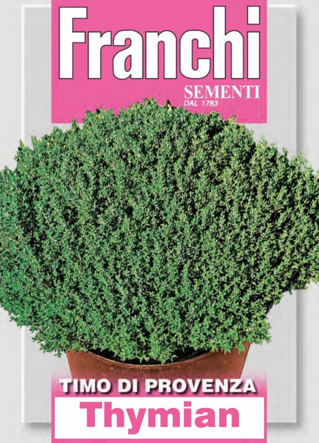 Thymian der Provence, Timo di Provenza, Thymus vulgaris L., feinste italienische Samen von Franchi Sementi.