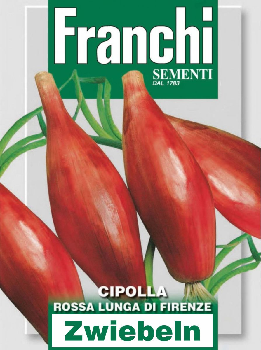 Zwiebel, Lange Rote, Rossa Lunga Di Firenze, Allium cepa L., feinste italienische Samen von Franchi Sementi.