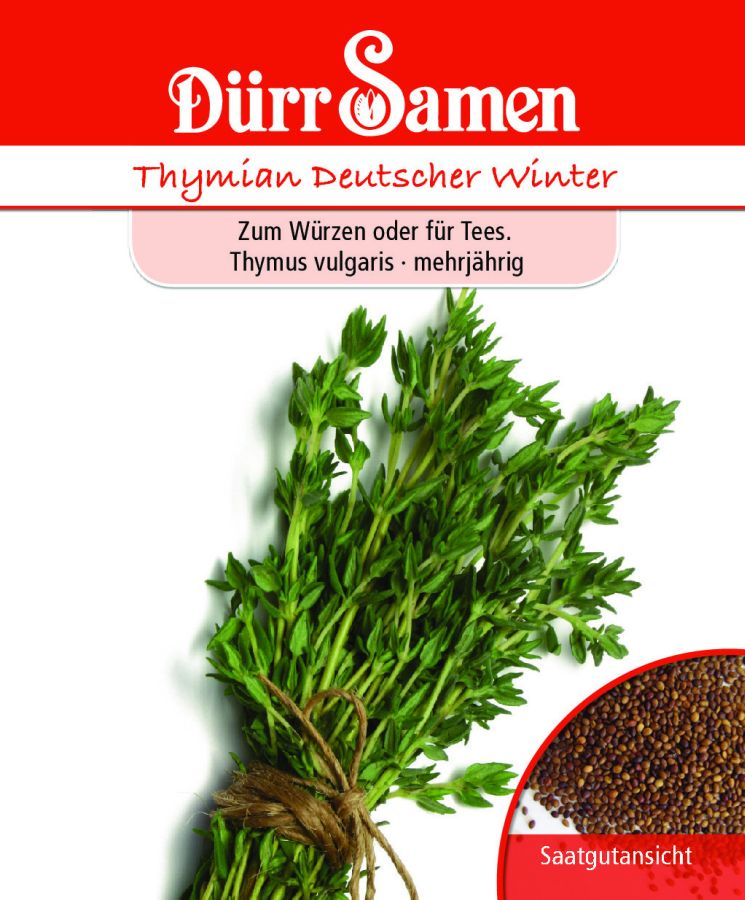 Thymian Deutscher Winter, Samen, Samen Dürr, Thymus vulgaris
