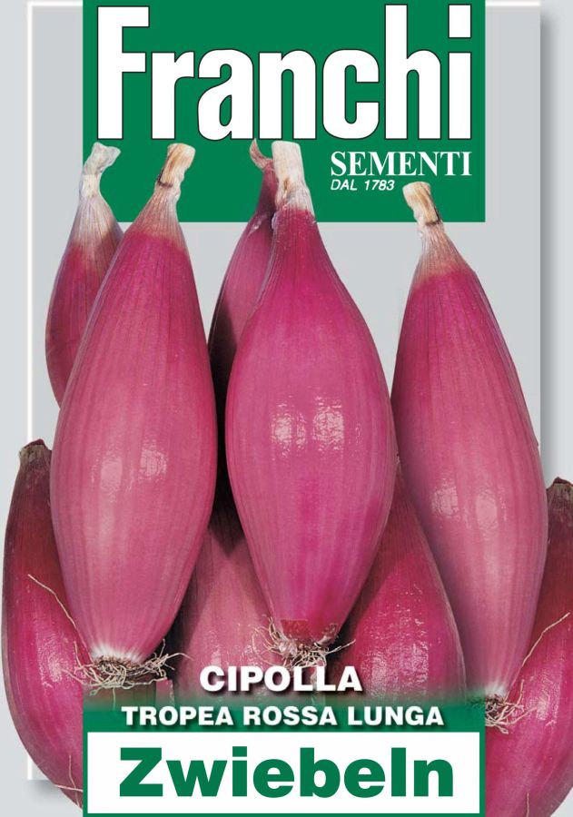 Zwiebel, Tropea Rossa Lunga, feine italienische Speisezwiebeln, Allium cepa L., feinste italienische Samen von Franchi Sementi.
