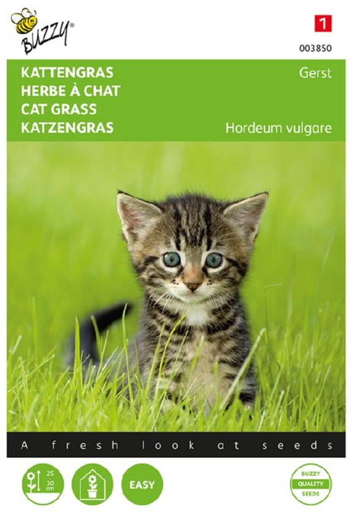 Katzengras Samen – Frisches, gesundes Gras für Katzen | Einfach selbst anbauen
