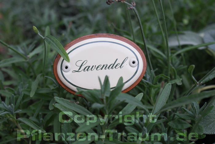 Lavendel hochwertiges Emaille Schild für den Garten - Outdoor
