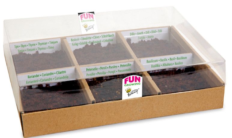 Küchenkräuter Starter Set - Petersilie, Thymian, Koriander, Dill, Basilikum & Schnittlauch inkl. Substrat & Mini-Anzuchtdisplay