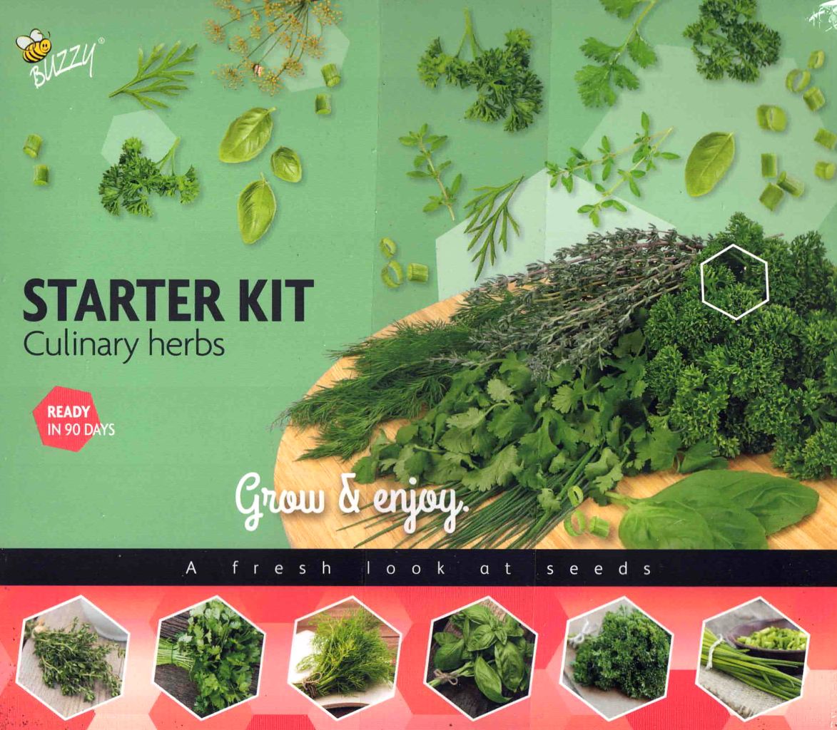 Küchenkräuter Starter Set - Petersilie, Thymian, Koriander, Dill, Basilikum & Schnittlauch inkl. Substrat & Mini-Anzuchtdisplay