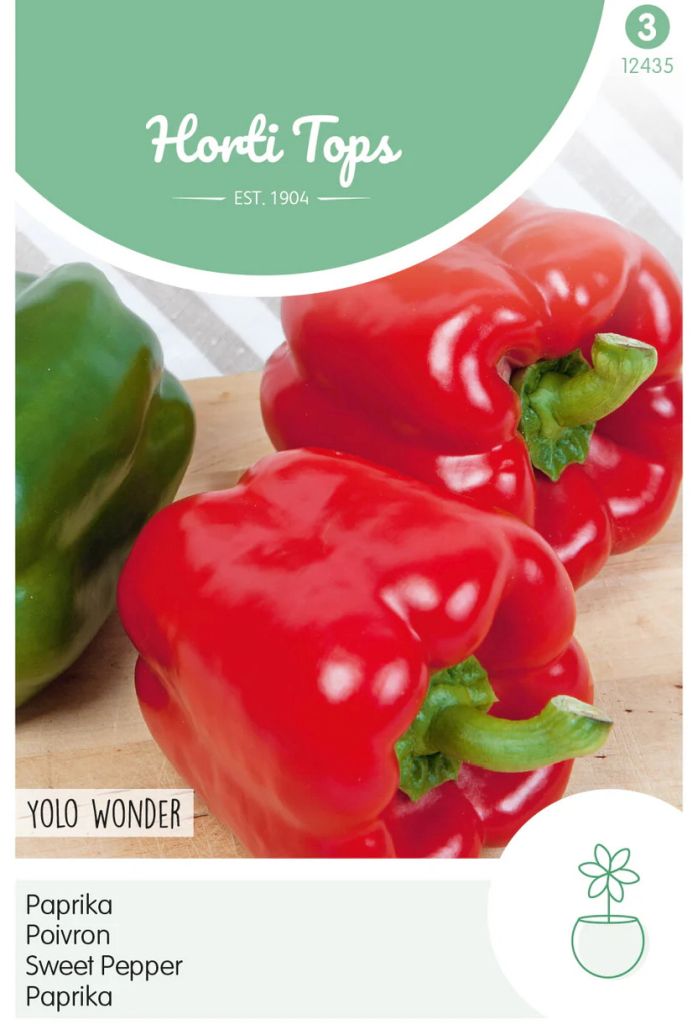 Paprika Yolo Wonder Samen,  Capsicum annuum – Gemüsepaprika Saatgut für Garten & Gewächshaus