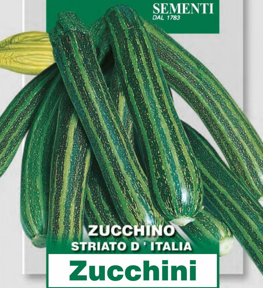 Zucchino Striato D\'Italia, Samen, klassische Zucchini